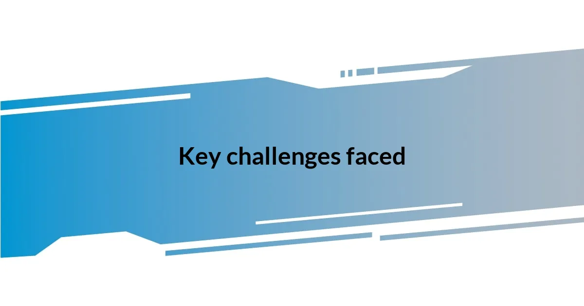 Key challenges faced